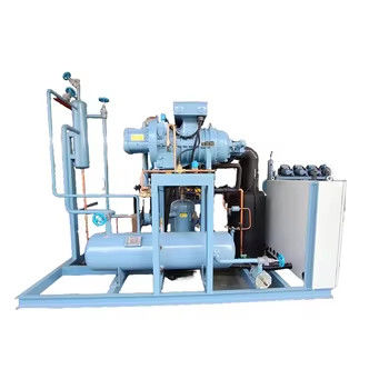 Compressori a vite di alta qualità automatici multifunzione frigorifero frigorifero nuovo motore di condensazione pompa per la casa