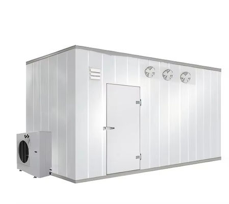 Unità di compressione di refrigerazione con controllo remoto della temperatura per lo stoccaggio a freddo