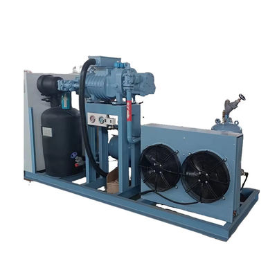 Macchina di congelamento automatico a blast Fast Freeze Bitzer Compressore Motore Uso domestico Ristorante Supermercati Nuovo Conditio Usato