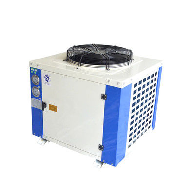Tipo di scatola Bitzer Freezer Unità di condensazione raffreddata ad aria condizionata per la stanza Casing in acciaio galvanizzato forte r22/r404a/r407f