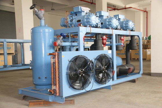 Compressore a vite industriale raffreddato ad aria Nuova condizione Unità di condensazione Caratteristiche automatiche Il nucleo è un motore frigorifero Compressore Refcomp