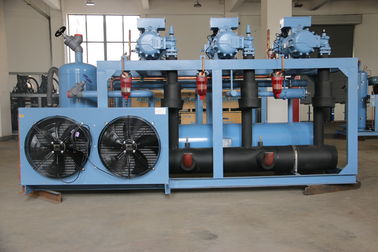 L'unità di refrigerazione industriale durevole blu adotta il refrigerante R22/R507