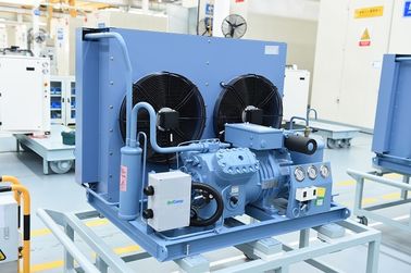 Apra il tipo unità di condensazione della refrigerazione con il regolatore di alta e pressione bassa