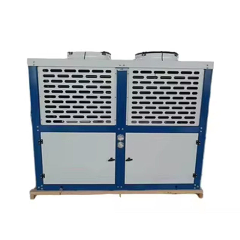 Tipo di scatola Bitzer Freezer Unità di condensazione raffreddata ad aria condizionata per la stanza Casing in acciaio galvanizzato forte r22/r404a/r407f