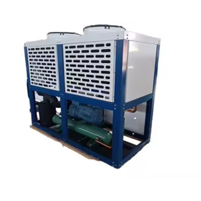 Nuova scatola di raffreddamento a refrigerazione ad aria Compressore condensatore per uso domestico e ristorante Pompa automatica a motore Servizio alimentare Cold S