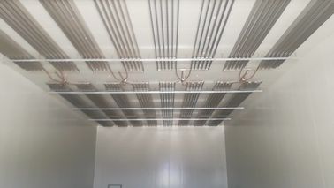 Dimensione su misura risparmio energetico prefabbricato ad alta resistenza della cella frigorifera